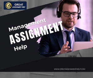 Unlocking Success with Management Assignment Help